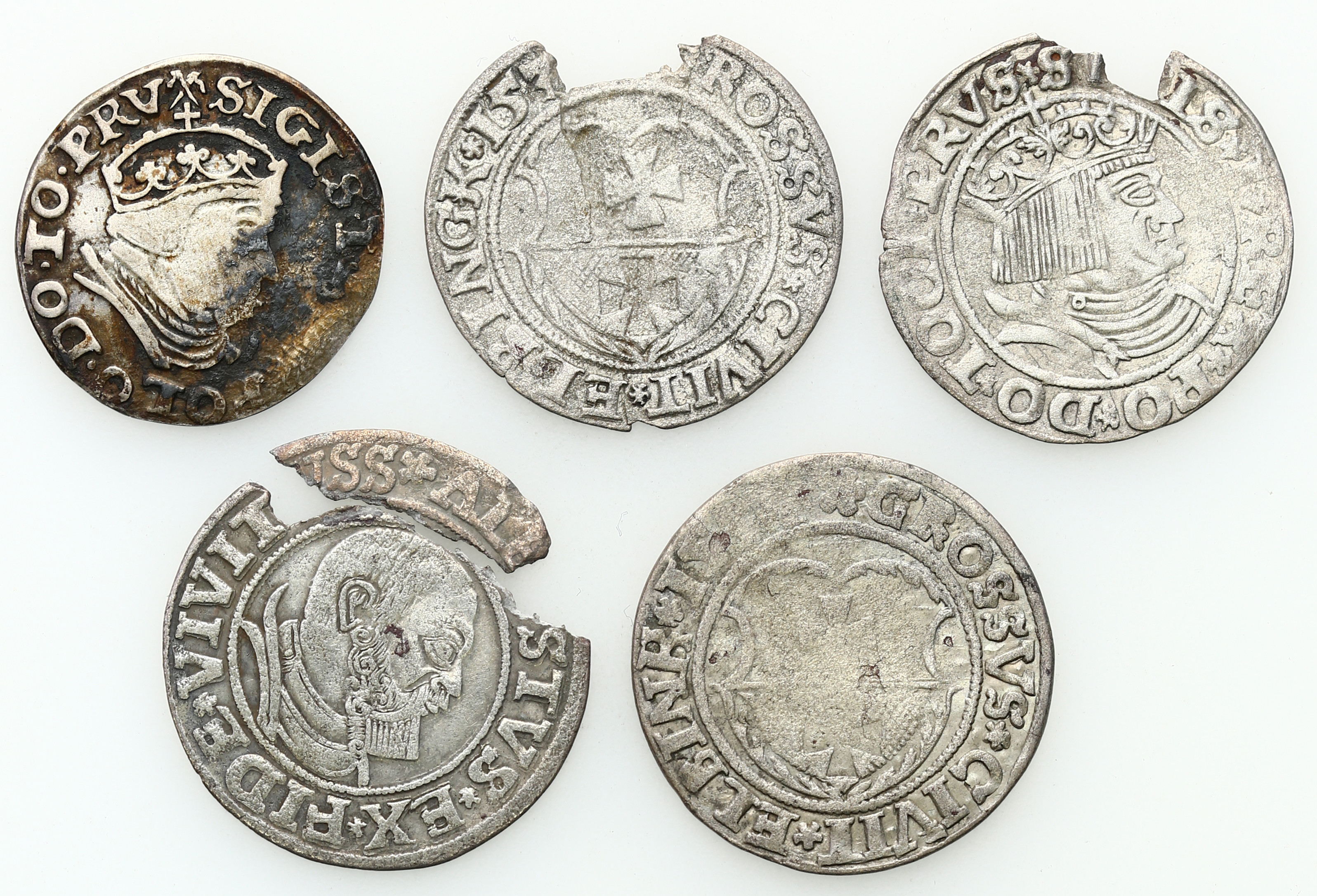 Zygmunt I Stary, Albert Hohenzollern. Grosz - Elbląg, Toruń, trojak 1540 – Gdańsk, zestaw 5 monet